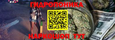 соль ск Сланцы