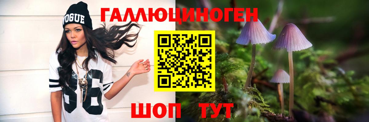 Псилоцибиновые грибы MAGIC MUSHROOMS  Псилоцибиновые грибы Magic Shrooms  Вход с VPN  Арзамас 